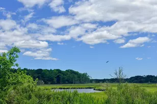 590 Haleyville Rd, Port Norris, NJ 08349 - Photo 11