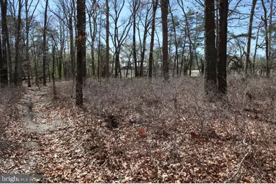 351 Shaws Mill Road, Newport, NJ 08345 - Photo 21