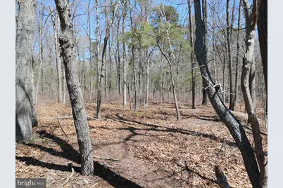 351 Shaws Mill Road, Newport, NJ 08345 - Photo 59
