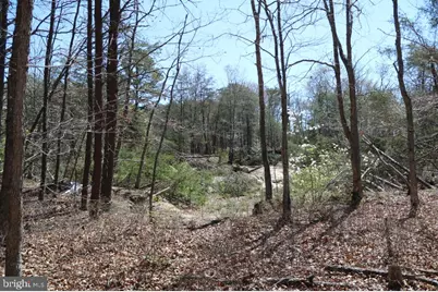 351 Shaws Mill Road, Newport, NJ 08345 - Photo 15