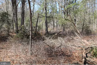 351 Shaws Mill Road, Newport, NJ 08345 - Photo 17
