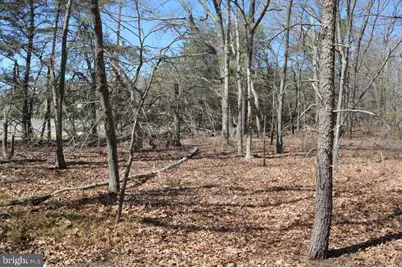 351 Shaws Mill Road, Newport, NJ 08345 - Photo 25