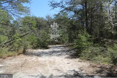 351 Shaws Mill Road, Newport, NJ 08345 - Photo 5