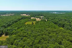 389 Fairton Gouldtown Rd, Bridgeton, NJ 08302 - Photo 21