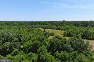 389 Fairton Gouldtown Rd, Bridgeton, NJ 08302 - Photo 29