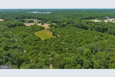 389 Fairton Gouldtown Road, Bridgeton, NJ 08302 - Photo 23