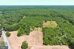 389 Fairton Gouldtown Rd, Bridgeton, NJ 08302 - Photo 11
