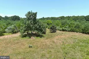 389 Fairton Gouldtown Rd, Bridgeton, NJ 08302 - Photo 21