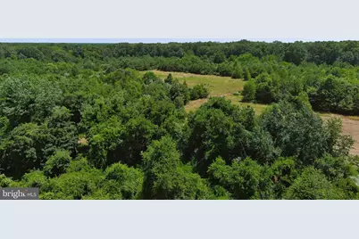 389 Fairton Gouldtown Road, Bridgeton, NJ 08302 - Photo 25