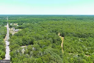 389 Fairton Gouldtown Rd, Bridgeton, NJ 08302 - Photo 3