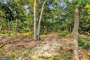 968 Carmel Rd, Millville, NJ 08332 - Photo 47
