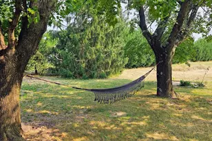 279 Russell Ave, Vineland, NJ 08360 - Photo 29