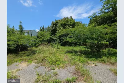 53 New England Cross Road, Bridgeton, NJ 08302 - Photo 7