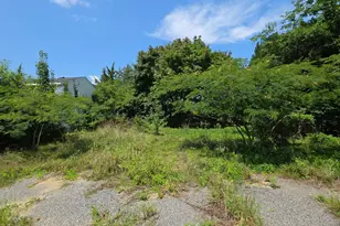 53 New England Cross Rd, Bridgeton, NJ 08302 - Photo 7