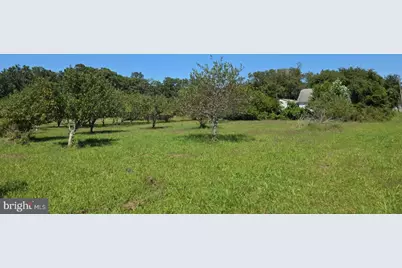 254 Fairton Gouldtown Road, Bridgeton, NJ 08302 - Photo 15