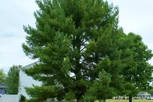 1691 Conrad Ave, Winslow Township, NJ 08089 - Photo 27