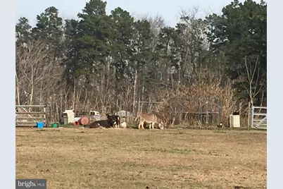 000 Blue Anchor Road, Sicklerville, NJ 08081 - Photo 3