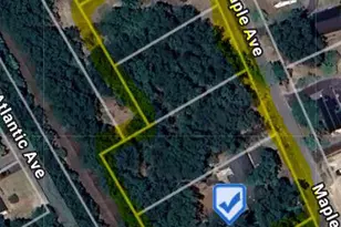 117 Maple Ave, Winslow Township, NJ 08089 - Photo 59