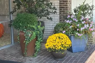 225 Playa Del Sol Condominium, Cherry Hill, NJ 08002 - Photo 25