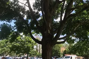 225 Playa Del Sol Condominium, Cherry Hill, NJ 08002 - Photo 35