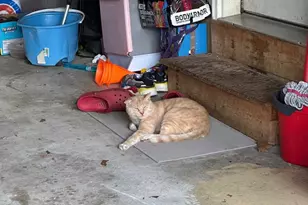 109 Harmony Cir Rd, Sicklerville, NJ 08081 - Photo 111