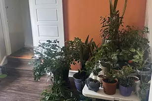 447 2nd Ave, Bellmawr, NJ 08031 - Photo 7