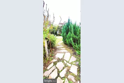 264 Lake Street, Haddonfield, NJ 08033 - Photo 37