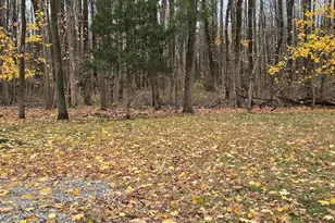 334 Chews Landing Rd, Lindenwold, NJ 08021 - Photo 39