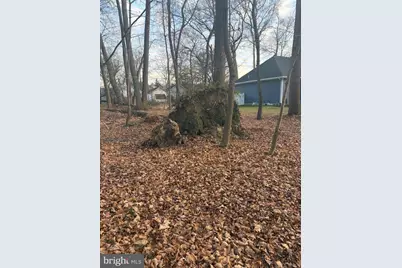 1413 Locust Avenue, Voorhees, NJ 08043 - Photo 3