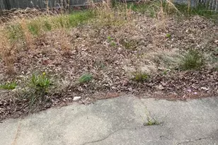 153 Villa Knoll Ct, Sicklerville, NJ 08081 - Photo 7