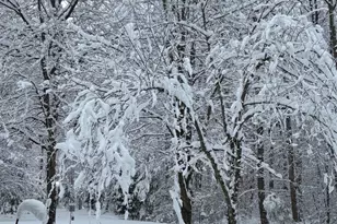 133 Steelton Rd, Berlin, NJ 08009 - Photo 3