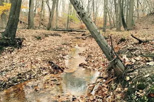 113 Parkview Rd, Stratford, NJ 08084 - Photo 31