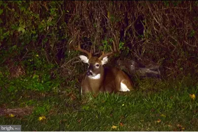 113 Parkview Road, Stratford, NJ 08084 - Photo 35