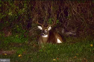 113 Parkview Rd, Stratford, NJ 08084 - Photo 35