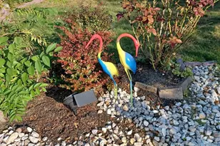 169 Cherry Tree Ln, Cherry Hill, NJ 08002 - Photo 55