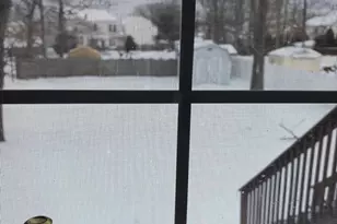 36 Morris Dr, Sicklerville, NJ 08081 - Photo 15