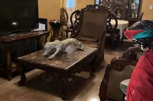 1114 N 28th St, Camden, NJ 08105 - Photo 21