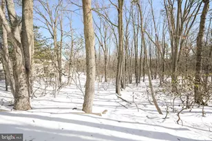 3 Acorn Hill Hollow, Voorhees, NJ 08043 - Photo 45