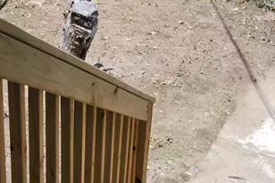 829 York St, Camden, NJ 08102 - Photo 5