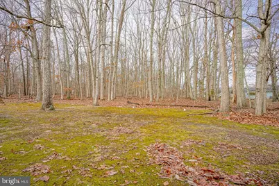 1 Oak Avenue, Winslow Township, NJ 08037 - Photo 27