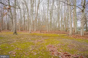 1 Oak Ave, Winslow Township, NJ 08037 - Photo 27