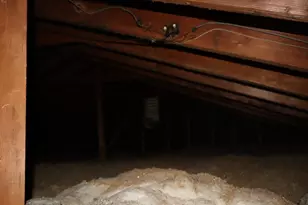 6709 Chandler Ave, Pennsauken, NJ 08110 - Photo 19