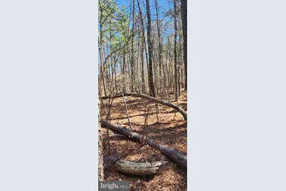 0 W Fleming Pike, Winslow Township, NJ 08037 - Photo 3