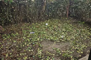 546 Walnut St, Camden, NJ 08103 - Photo 31