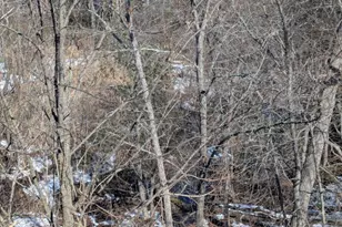 25 Millstream Rd, Pine Hill, NJ 08021 - Photo 27