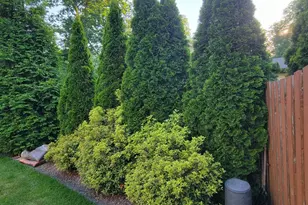 506 Garwood Dr, Cherry Hill, NJ 08003 - Photo 67