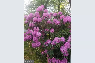 115 Atlantic Avenue, Voorhees, NJ 08043 - Photo 41