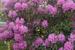 115 Atlantic Ave, Voorhees, NJ 08043 - Photo 39