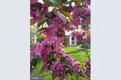 115 Atlantic Avenue, Voorhees, NJ 08043 - Photo 39