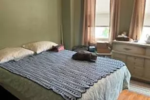 35 E Collings Ave, Collingswood, NJ 08108 - Photo 15